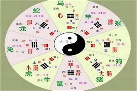 玉字五行|玉的汉字五行属性，是木、是土、还是金？